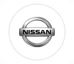 Nissan Petrol